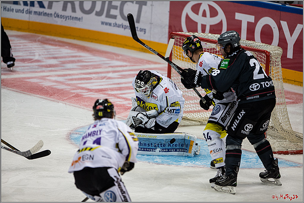 Koelner Haie - Krefeld Pinguine , 23.09.16(KW38)